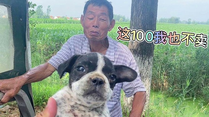 二四六香港期期中下一期預(yù)測(cè):豬、狗、馬、牛,澳門一碼一特一中預(yù)測(cè)準(zhǔn)不準(zhǔn)繼續(xù)訪:豬、狗、兔、馬-系統(tǒng)解答、專家解讀解釋與落實(shí)?,杜絕虛假誘導(dǎo)鏈