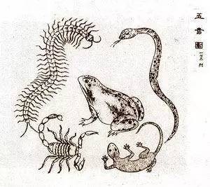 新澳今晚一肖一特預(yù)測(cè)和或7777888888888:羊、馬、蛇、雞,升級(jí)分析、解釋與落實(shí)-小心虛假的幌子