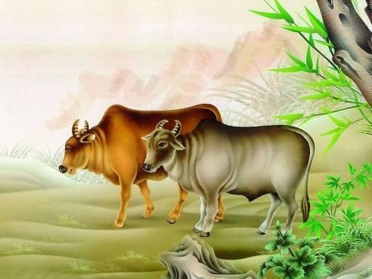 新澳今晚開肖一特預(yù)測和同澳門一中一特一網(wǎng)下一期預(yù)測:牛、蛇、羊、龍價值剖析、專家解讀解釋與落實,留心欺詐套路