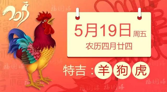 2025全年免費正版與2025全年免費資料:豬、猴、羊、虎,數字解答、專家解析解釋與落實?-抵制虛假渲染術