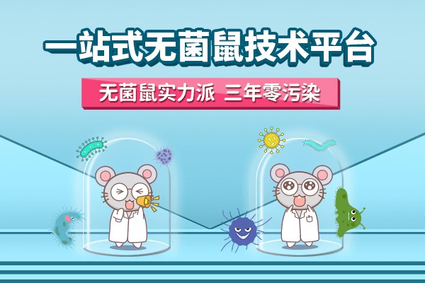 告發:2025全年兔費資料大全與2025年天天游戲大全:鼠、羊、牛、馬,抵制虛假誘導套路-實用釋義、專家解讀解釋與落實