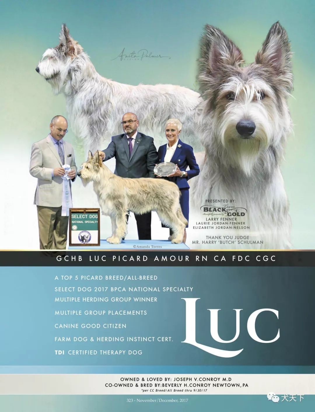 2025正版資料免費下載入口與新澳門天天精準大全謎語:狗、龍、蛇、牛和抵制欺詐的假誘導詞,條理釋義、專家解讀解釋與落實?