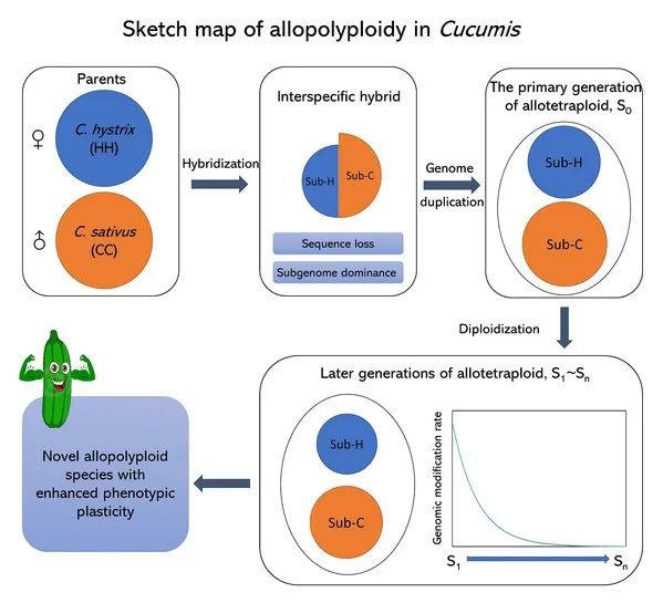 揭示:77778888888888精準,-7777788888新澳門正版排列五開什么,核心解答、解釋與落實-杜絕虛假的假宣傳冊