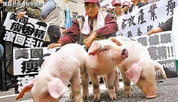 二四六香港期期中下一期預測:豬、狗、馬、牛,澳門一碼一特一中預測準不準繼續訪:03-16-01-33-21-44 T:48:精選解析、專家解讀解釋與落實,小心言過其實推廣