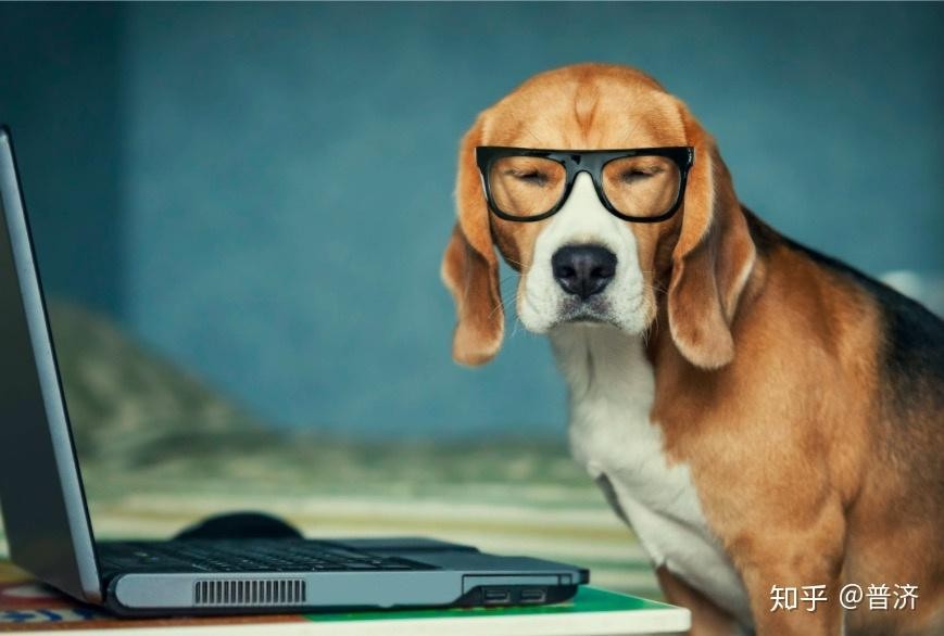 2025全年免費資料查詢和管家婆100謎語怎么玩:雞、狗、猴、龍規范釋義、專家解析解釋與落實?-警惕誤導的假宣傳