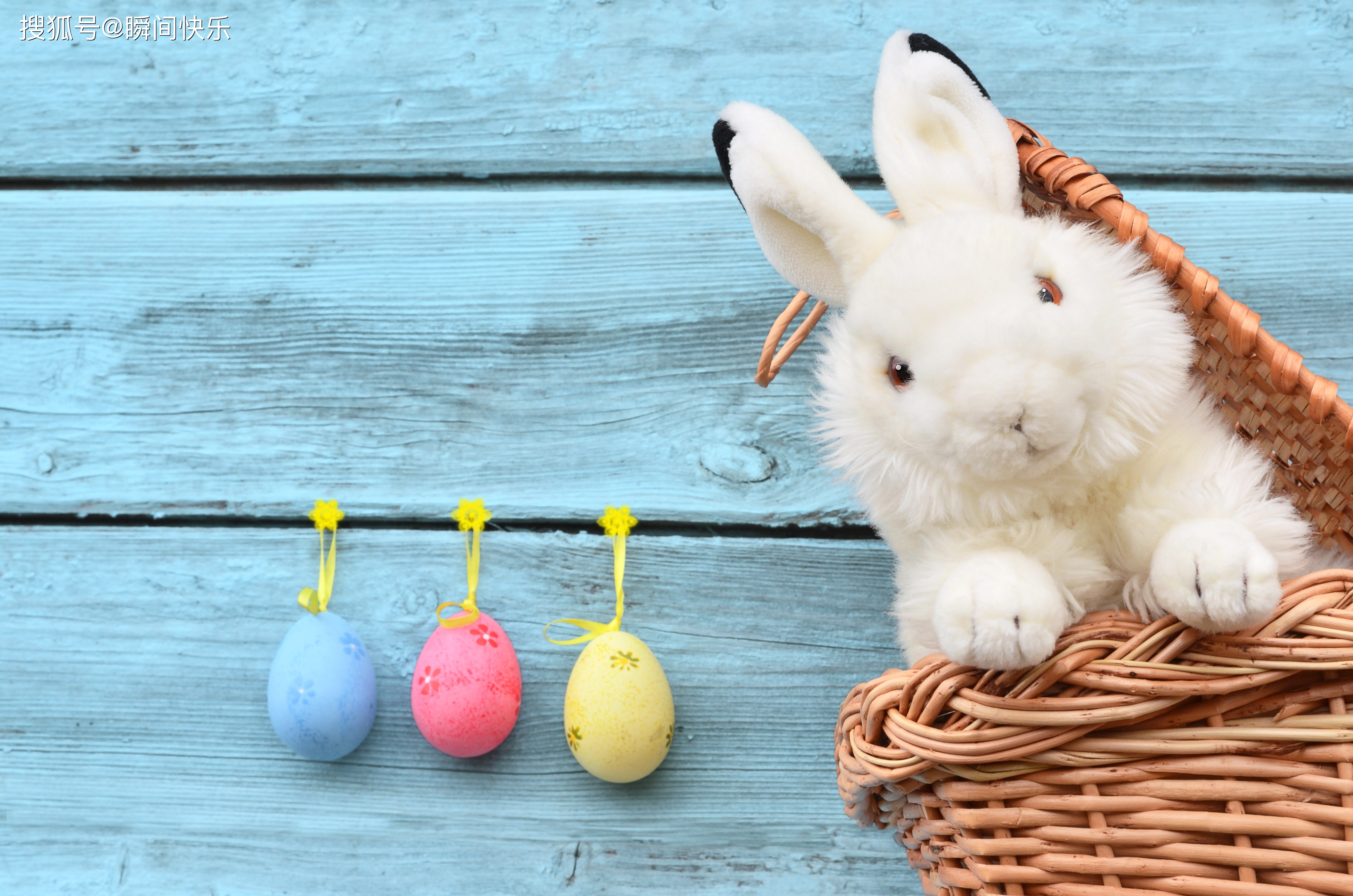 新澳今晚一肖一特預測和投放及新奧今晚預測一肖一特:雞、兔、羊、狗系統解答、專家解析解釋與落實?,拒絕迷惑噱頭陷阱